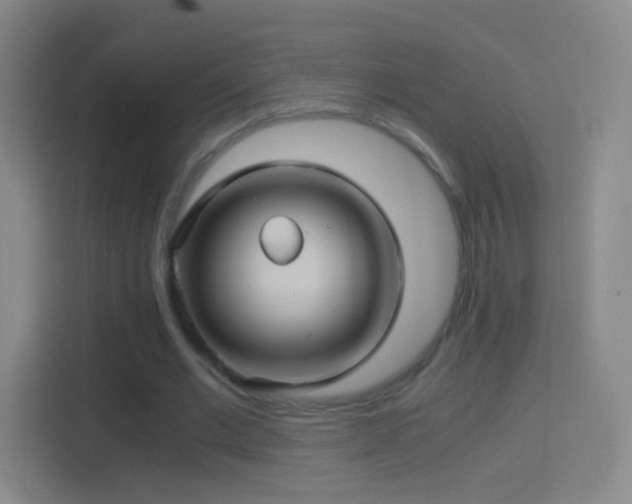 X0000114390677200910231017