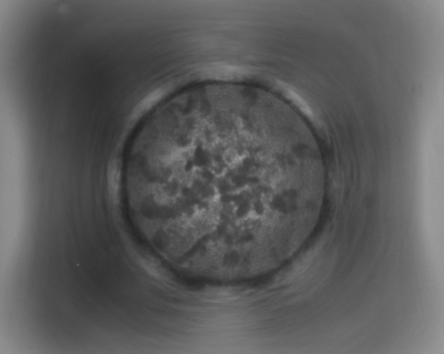 X0000114390679200910231017