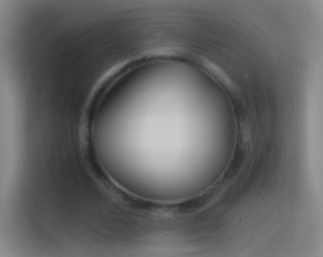 X0000114390680200910231017