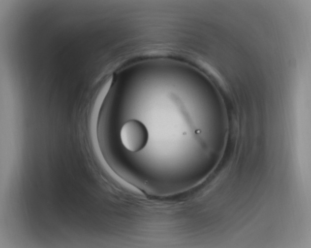 X0000114390681200910231017
