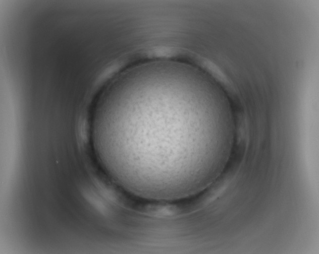 X0000114390683200910231017