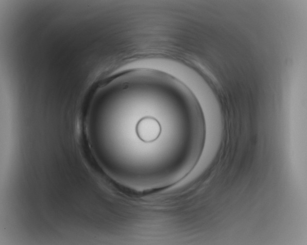 X0000114390685200910231017