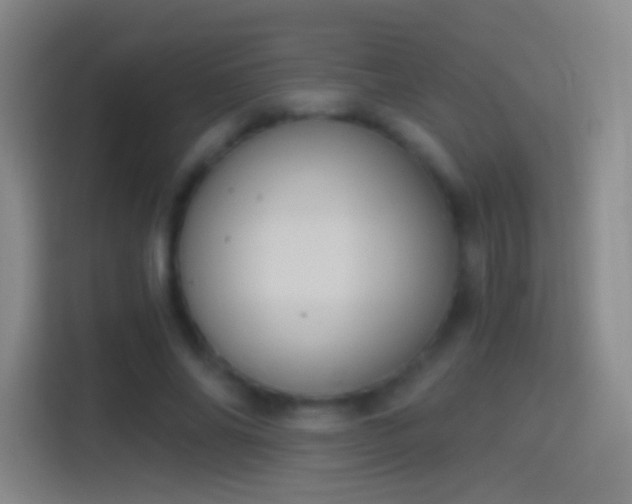 X0000114390686200910231017