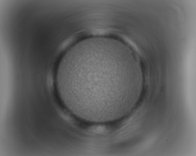 X0000114390687200910231017