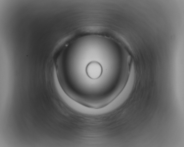 X0000114390688200910231017