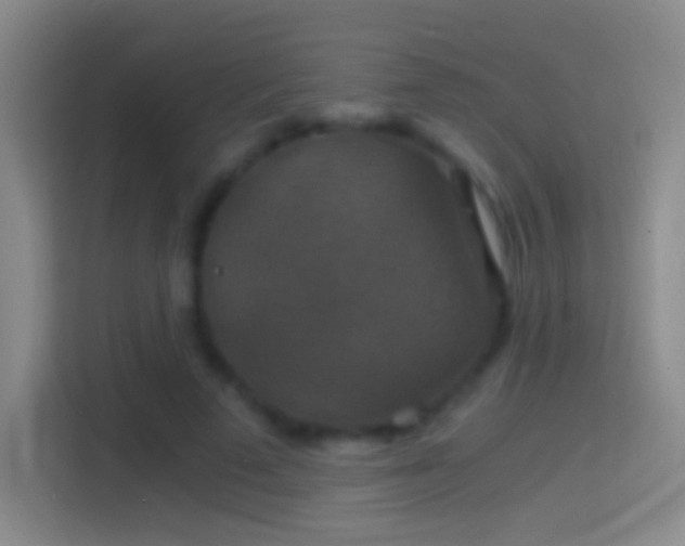 X0000114390689200910231017