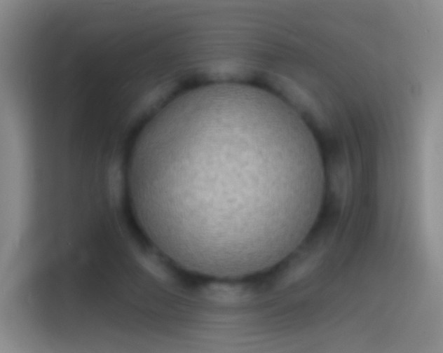 X0000114390690200910231017