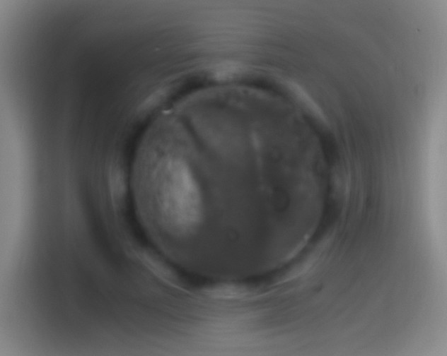 X0000114390691200910231017
