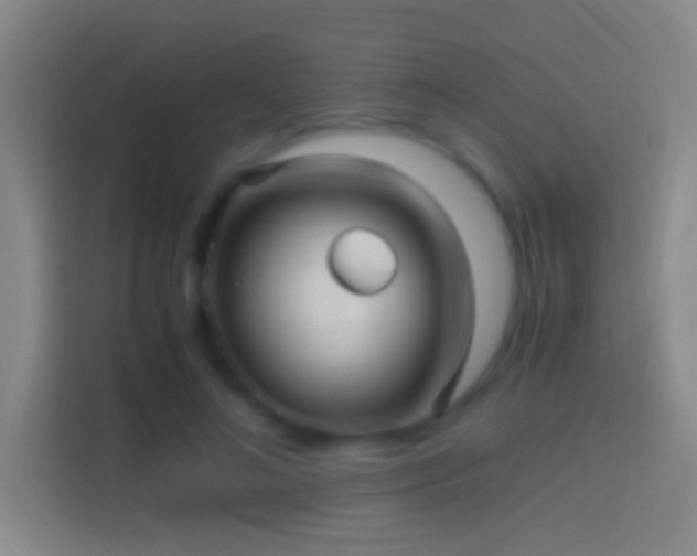 X0000114390692200910231017