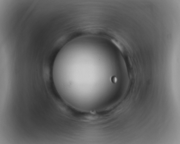 X0000114390693200910231017