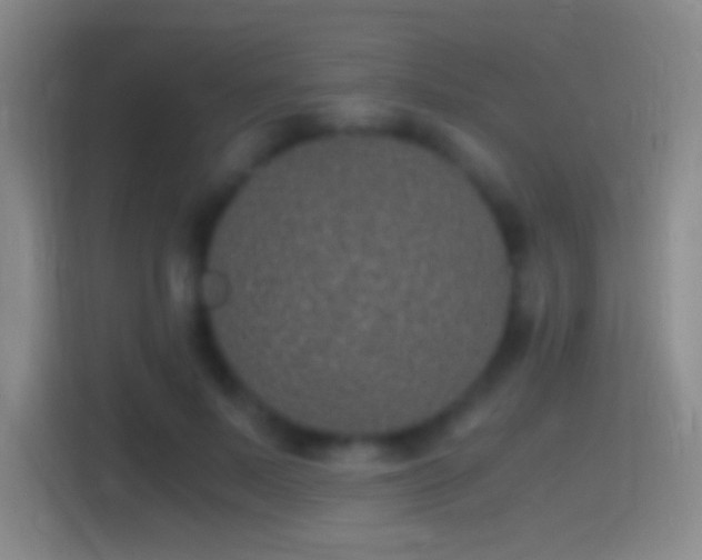 X0000114390695200910231017