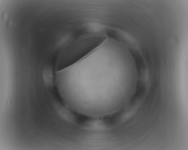 X0000114390696200910231017
