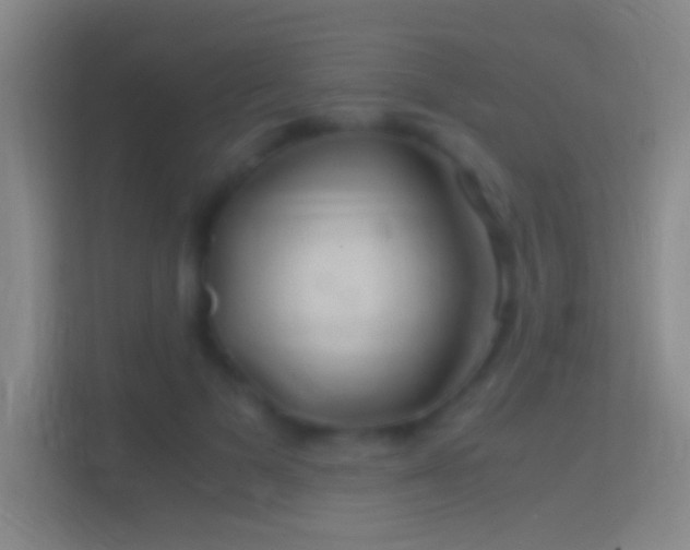 X0000114390697200910231017