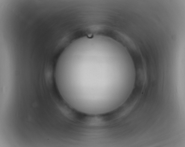 X0000114390698200910231017