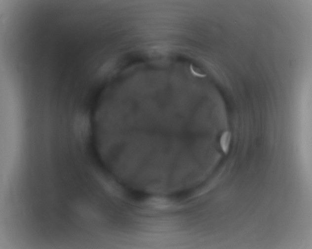 X0000114390699200910231017