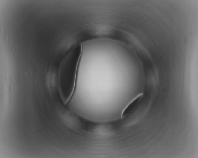 X0000114390700200910231017