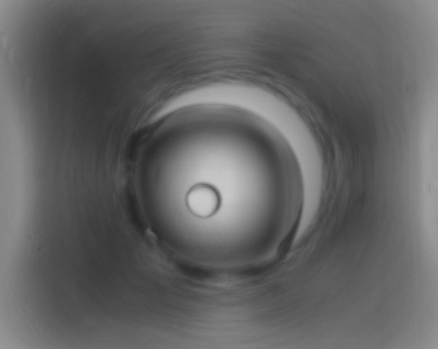 X0000114390701200910231017