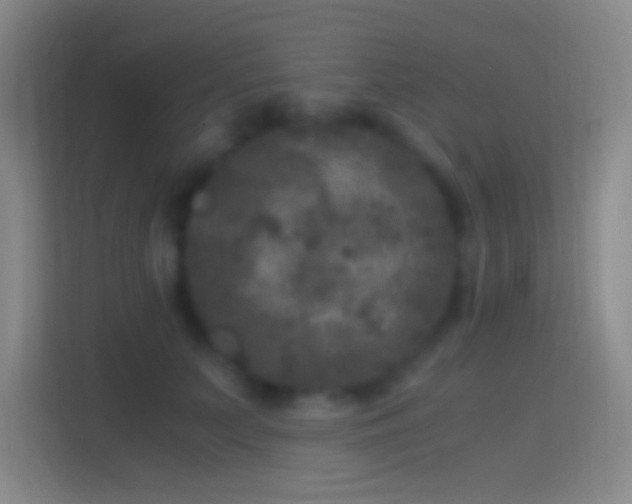 X0000114390703200910231017