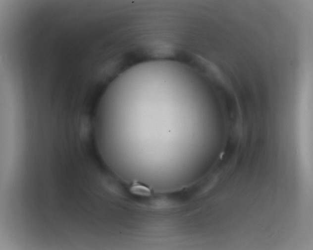 X0000114390704200910231017