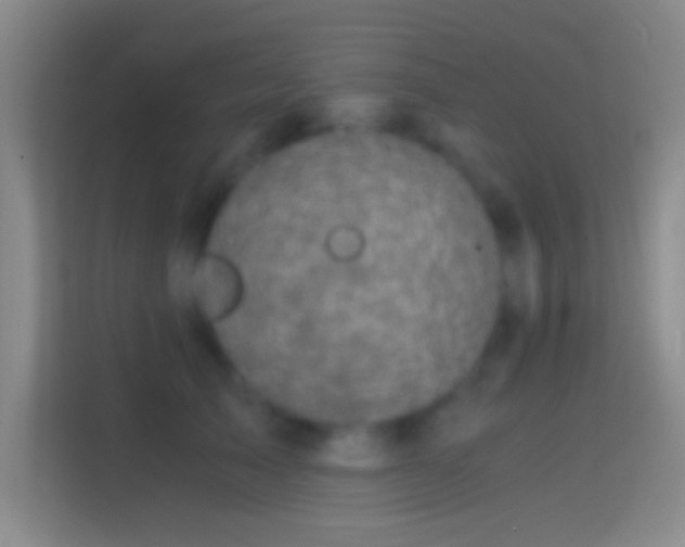X0000114390705200910231017