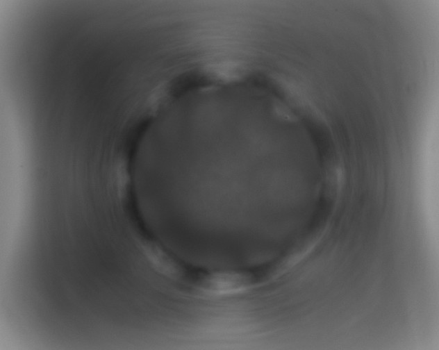 X0000114390707200910231017