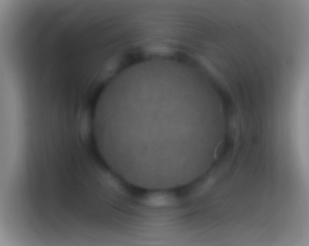 X0000114390708200910231017
