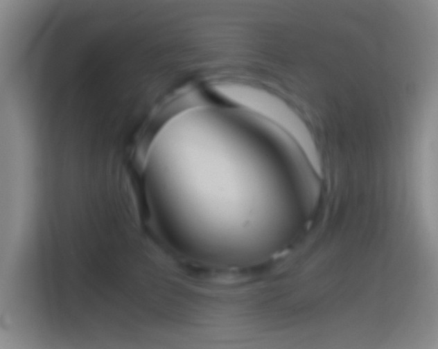 X0000114390709200910231017
