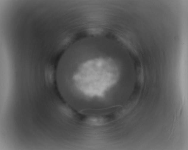 X0000114390712200910231017
