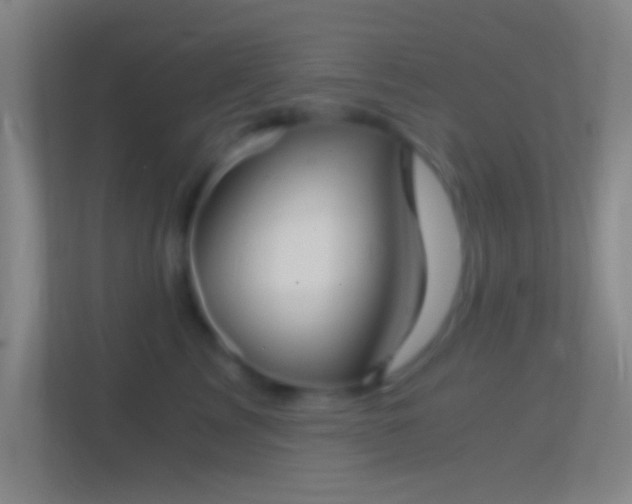 X0000114390713200910231017