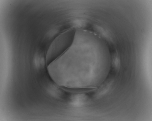 X0000114390716200910231016
