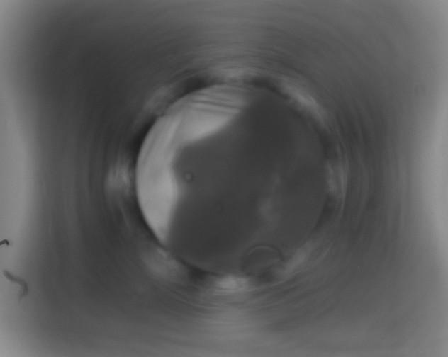 X0000114390718200910231016