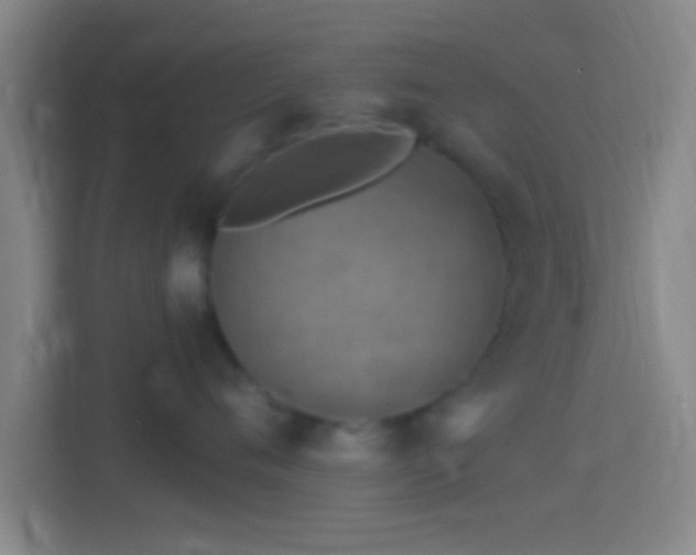 X0000114390720200910231016