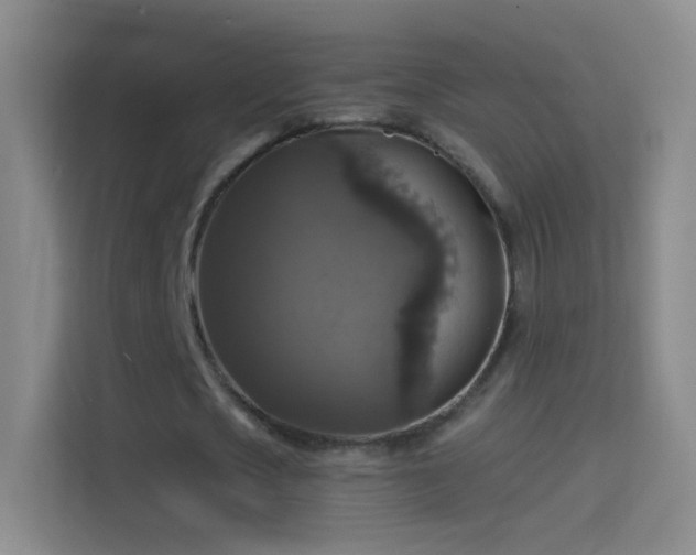 X0000114390721200910231016