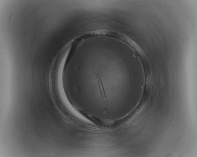 X0000114390722200910231016