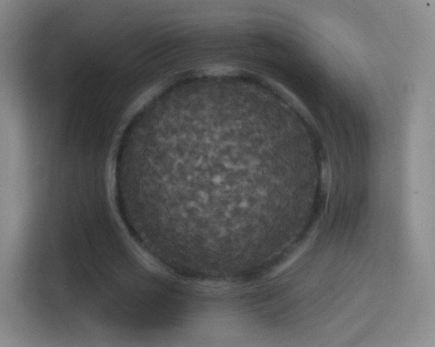 X0000114390725200910231016
