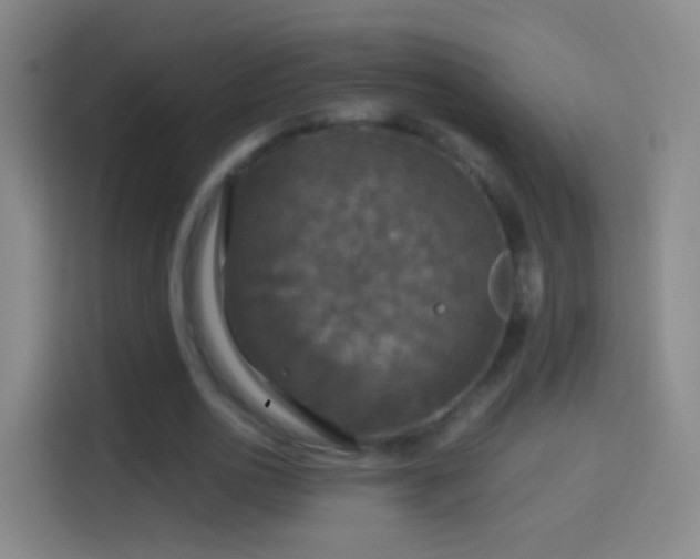 X0000114390726200910231016