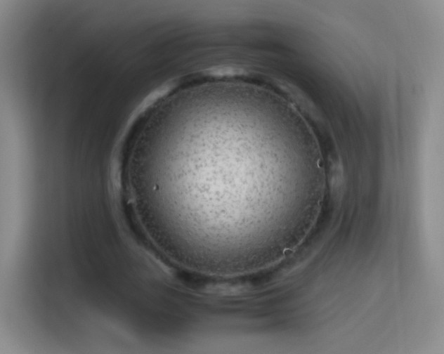 X0000114390727200910231016