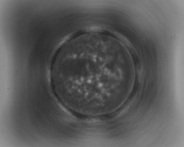 X0000114390729200910231016