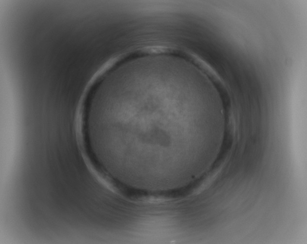X0000114390730200910231016
