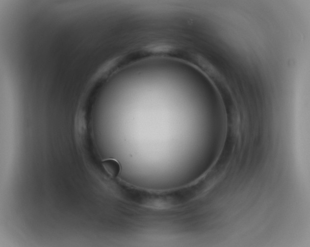 X0000114390731200910231016