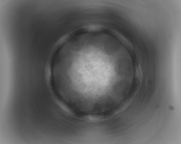 X0000114390733200910231016