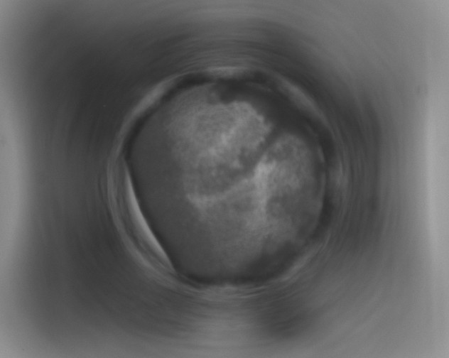 X0000114390734200910231016