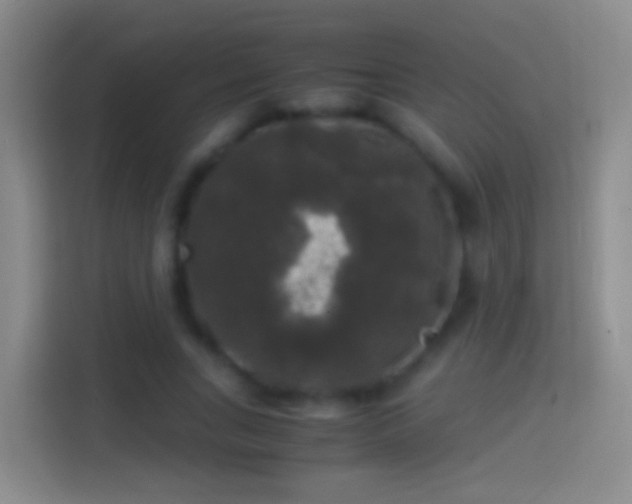 X0000114390735200910231016