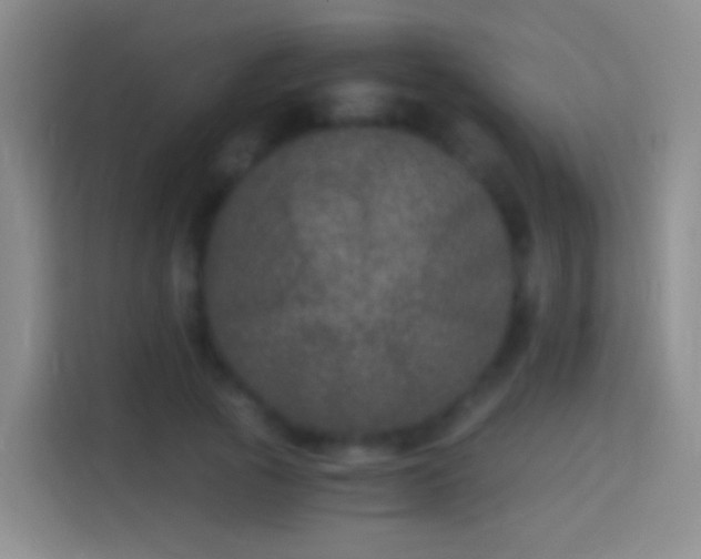 X0000114390737200910231016