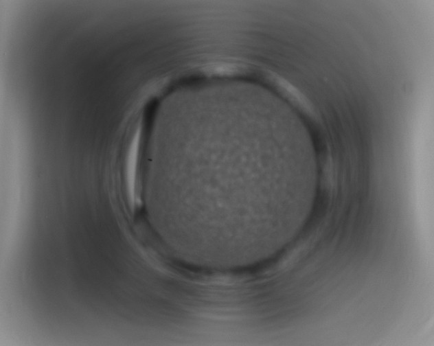 X0000114390738200910231016