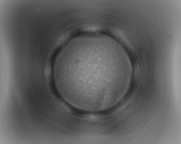 X0000114390739200910231016