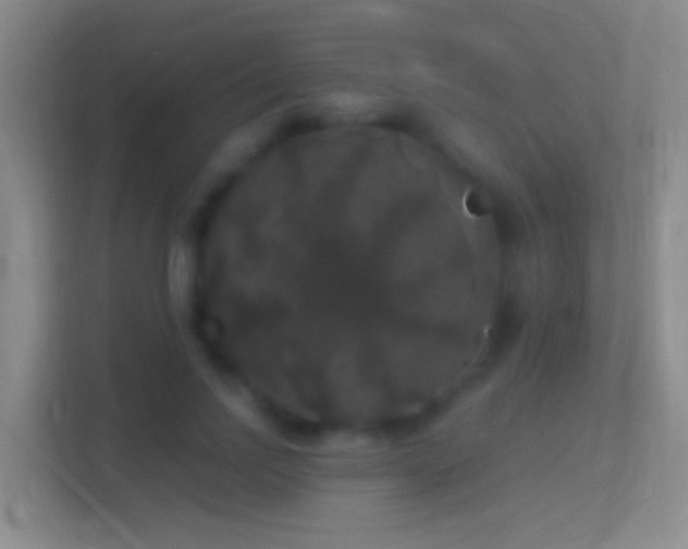 X0000114390742200910231016