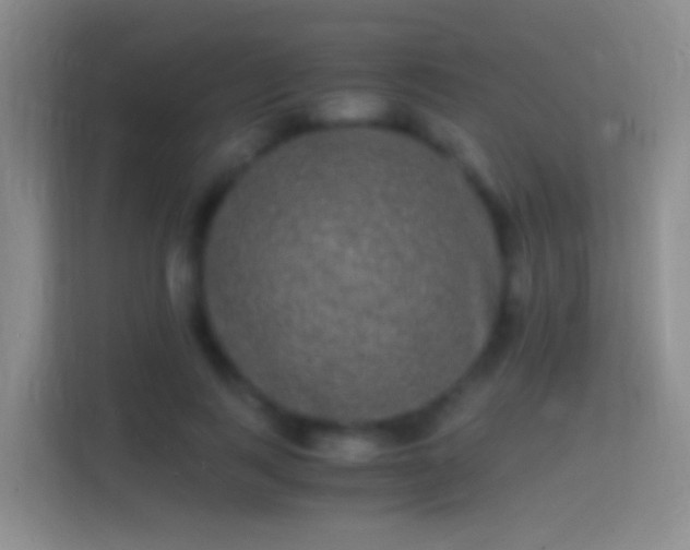 X0000114390743200910231016