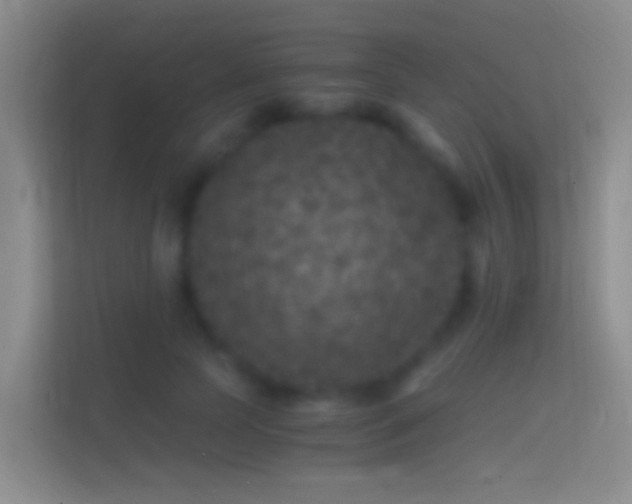 X0000114390745200910231016