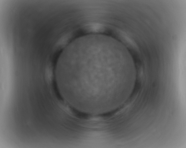 X0000114390746200910231016